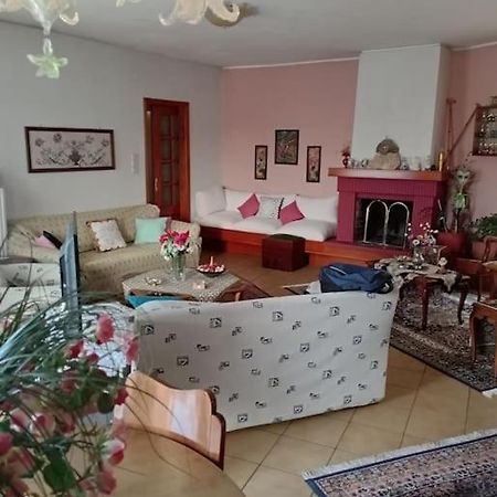 Διαμέρισμα Τριών Υπνοδωμάτιων. Ioannina Bagian luar foto