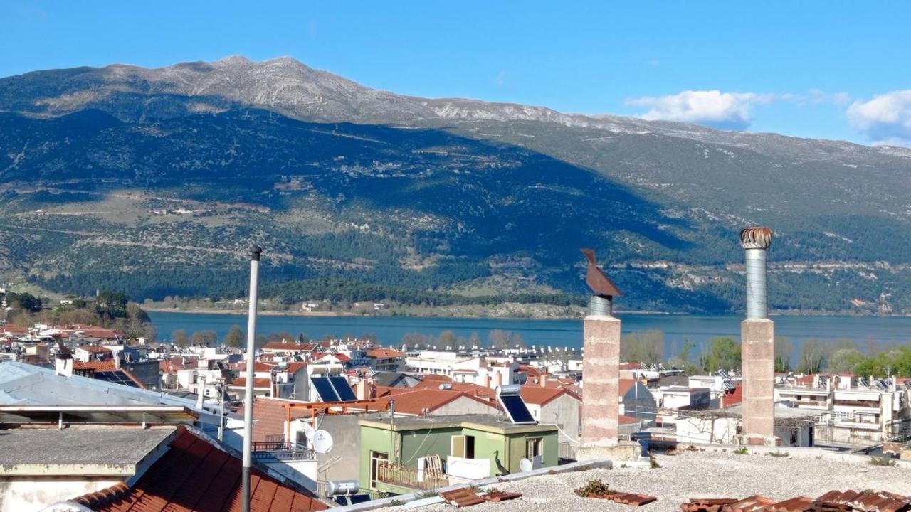 Διαμέρισμα Τριών Υπνοδωμάτιων. Ioannina Bagian luar foto